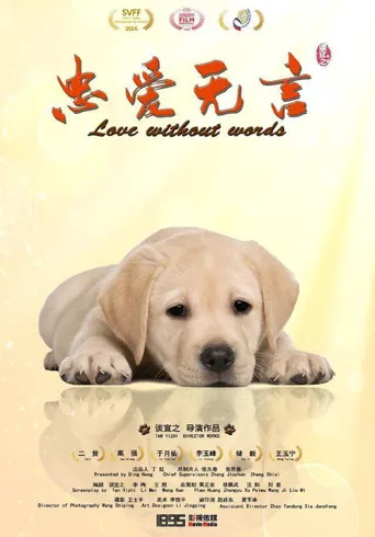 忠爱无言海报