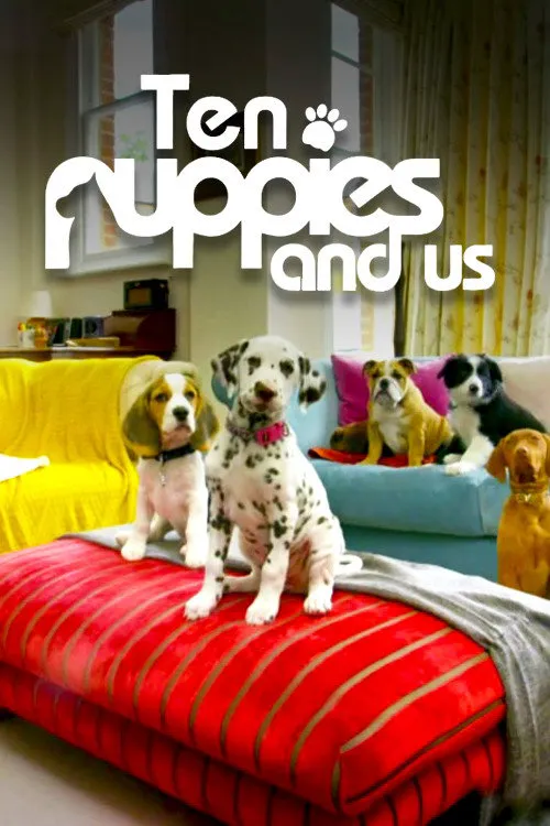 10 Puppies and Us 第 1 季海报