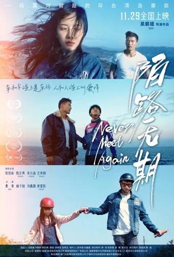 陌路无期海报