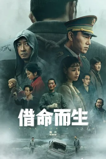借命而生海报