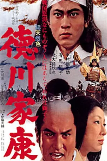 德川家康海报