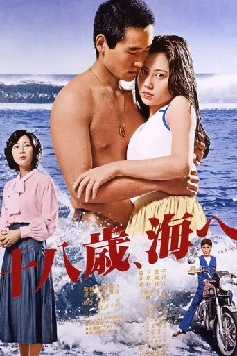 十八岁的海海报