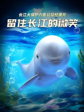 留住长江的微笑海报