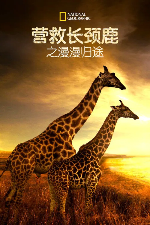 营救长颈鹿之漫漫归途海报