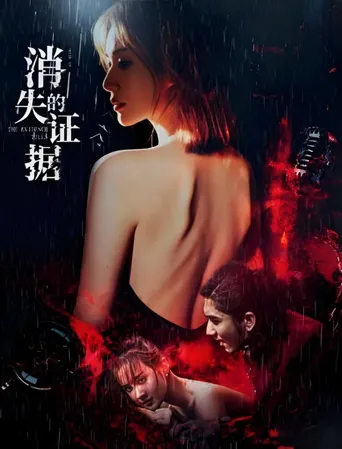 消失的证据海报