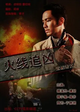 火线追凶之黑枪疑云海报