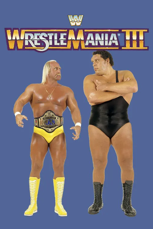 WWE 摔角狂热 3海报