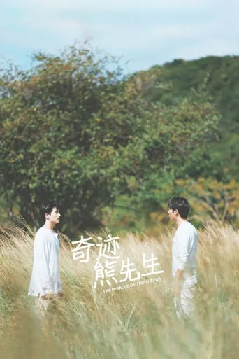 奇迹熊先生海报