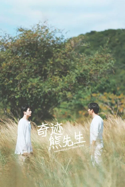 奇迹熊先生海报