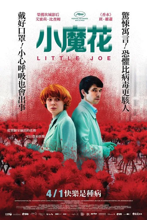小小乔海报