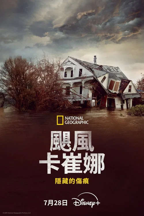飓风卡特里娜：隐藏的伤痕海报