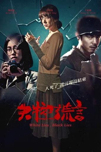 失控谎言海报