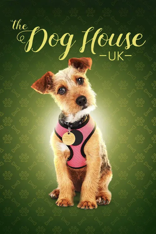 The Dog House 第 6 季海报