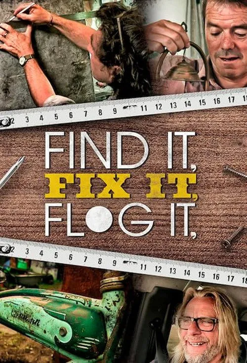Find It, Fix It, Flog It 第 1 季海报