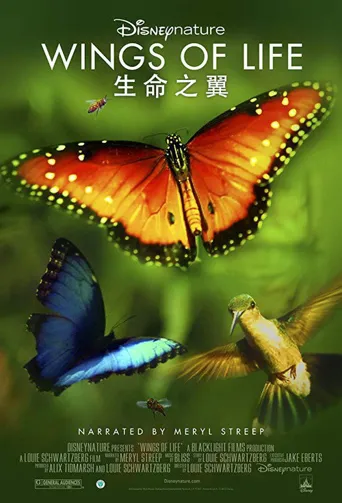 生命之翼海报