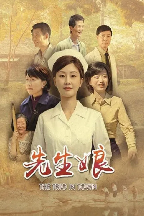 先生娘海报
