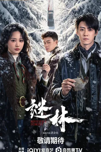 谜林 第 1 季海报
