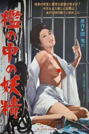 牢笼中的妖精海报
