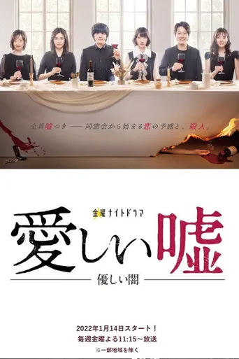 可爱的谎言～温柔的黑暗～海报