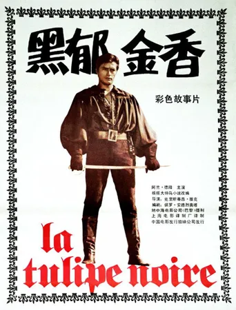 黑郁金香海报