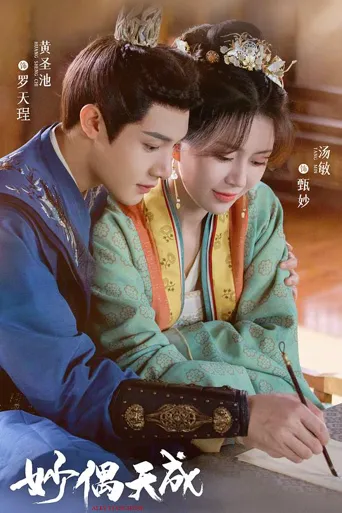 妙偶天成 第 1 季海报