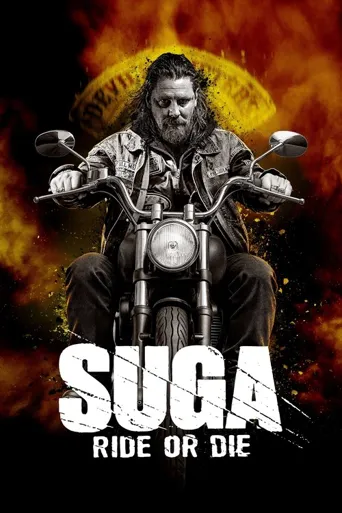 Suga海报