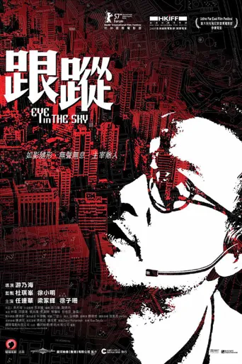 跟踪海报