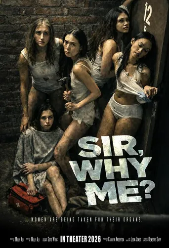 Sir, Why Me?海报