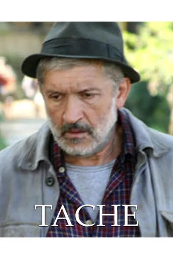 Tache海报