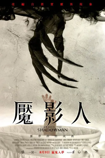 唤醒夜影人海报