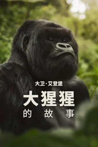 大卫·艾登堡：大猩猩的故事海报