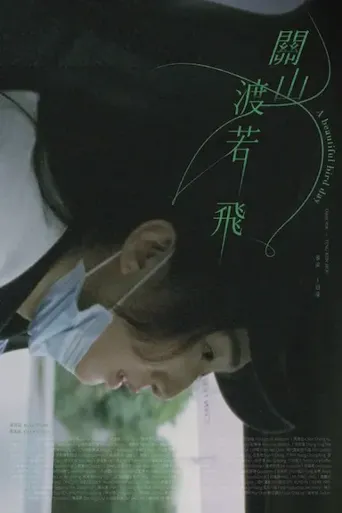 关山度若飞海报