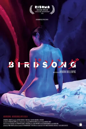 鸟之歌海报