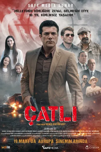 Çatlı海报