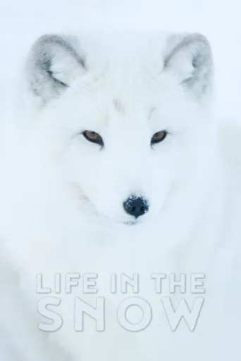 雪中生活海报