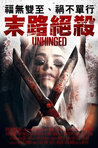 精神乱错海报