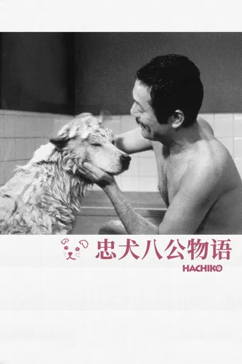 忠犬八公物语海报