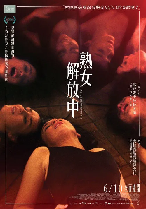 欢愉之书海报