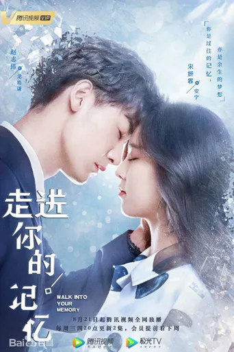 走进你的记忆海报