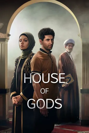 House of Gods海报