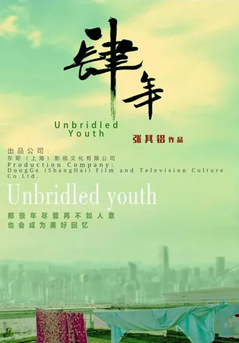 肆年海报