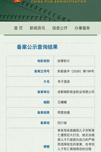 寻子遗迹海报