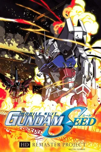 机动战士高达SEED HD重制海报