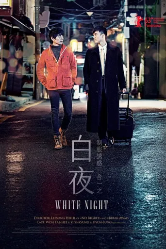 白夜海报