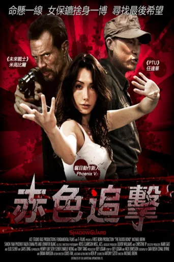 赤色追击海报
