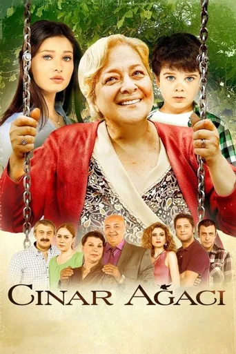 Çinar agaci海报