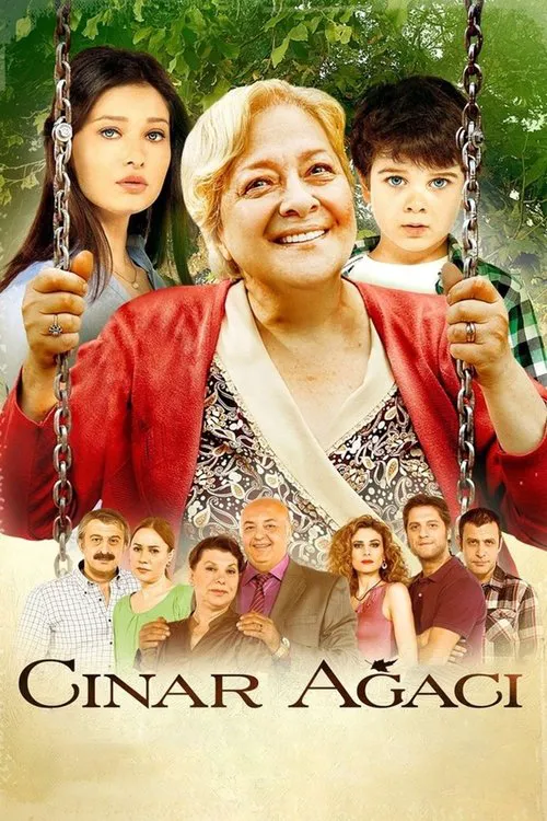 Çinar agaci海报