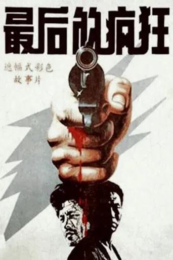 最后的疯狂海报