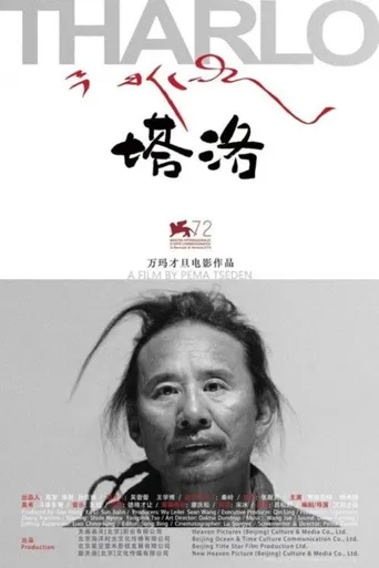 塔洛海报