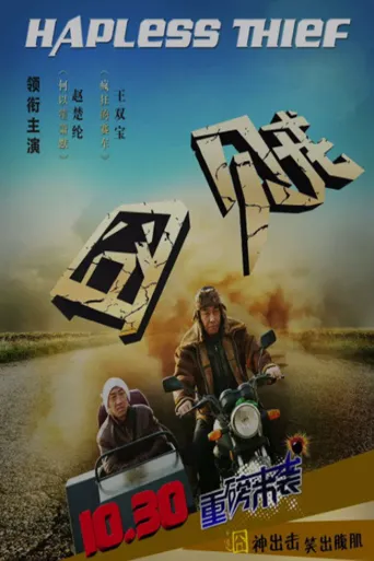 囧贼海报